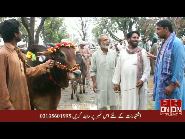 Dera ismail khan|  funny saraiki darama " chaker mandi da " on dera news tv