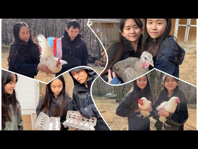 Janet and Kate Take Care of Grandma's Chickens!