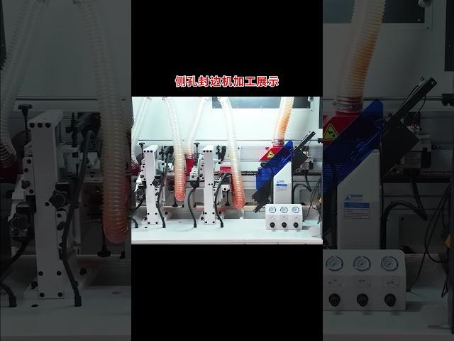 HUAHUA  HH-556RLK SIDE HOLE EDGE BANDING MACHINE #machine #manufacturing