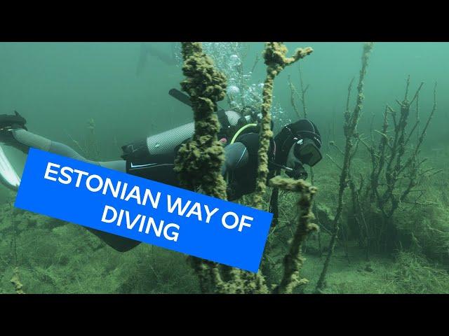 How to dive the #EstonianWay with Karina Oliani