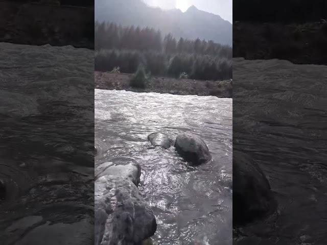 #pahalgam #pahalgamvalley #pahalgamkashmir #pahalgamdiaries #lidderriver  Music Courtesy : #aaa2bgm