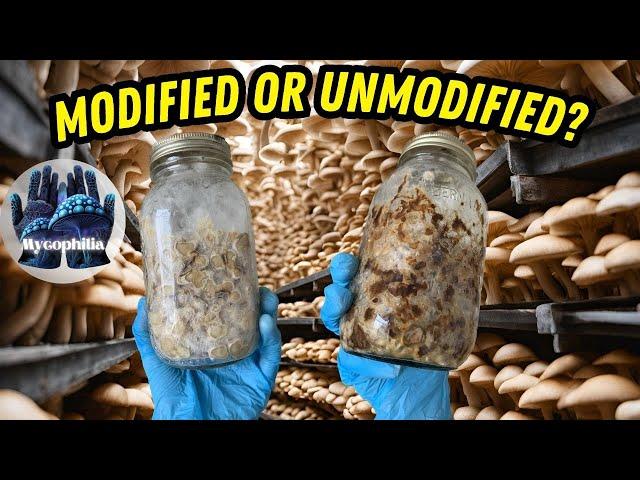 How to Make Jar Lids, Modified and Unmodified, Which is Best? Mycology (Mushroom Mastery Part 3)