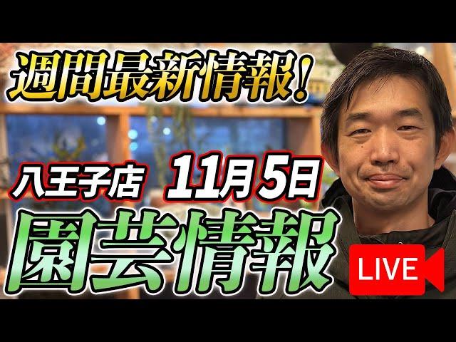 【最新情報】11月5日 グリーンギャラリーガーデンズ入荷情報を一挙公開！【特別版】