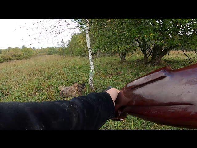 ОН УБИЛ ИХ ВСЕХ ... ТАЙСОНА  БОЛЬШЕ НЕТ. Я УХОЖУ. ВСЕМ ПОКА ...