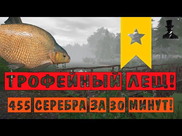 Трофейный лещ! 455 серебра за 30 минут. Оз. Старый Острог - Русская Рыбалка 4.