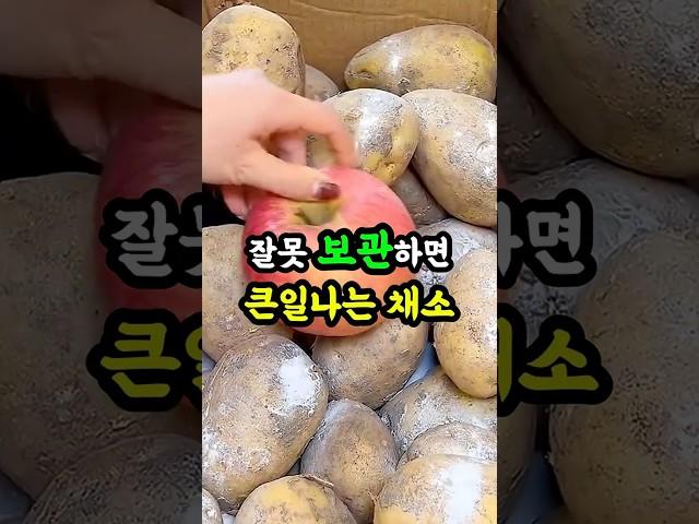  경고! 이 채소 이렇게 보관하면 독 됩니다 #food