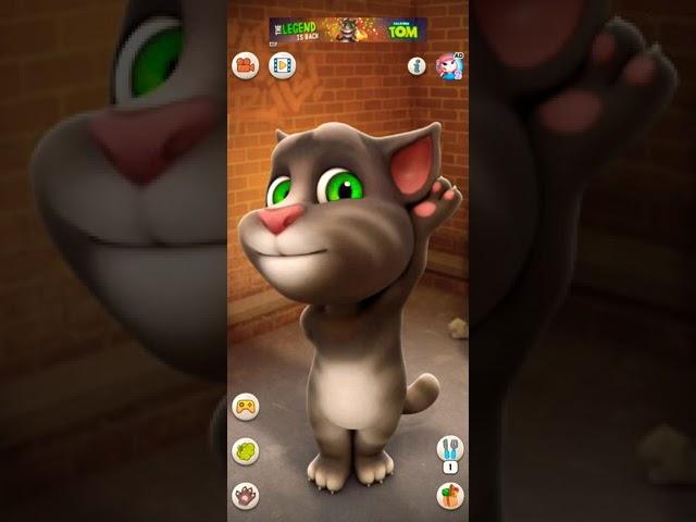 GUYS TOM YE KYA BOL RAHA HAI TALKING TOM 