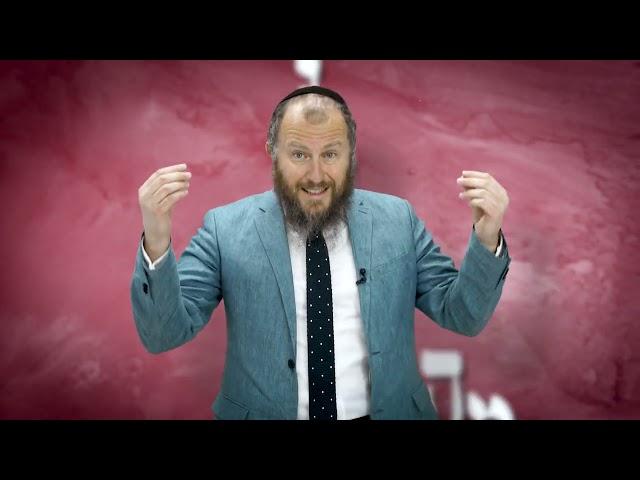 Shoftim "Contract" 5784  Weekly Torah Short with Rabbi Asher Altshul