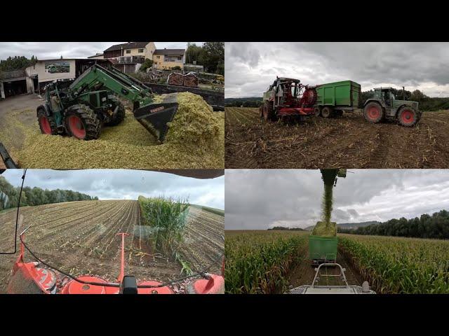 Farmvlog #23 Teil 2 Der Letzte Mais fällt!