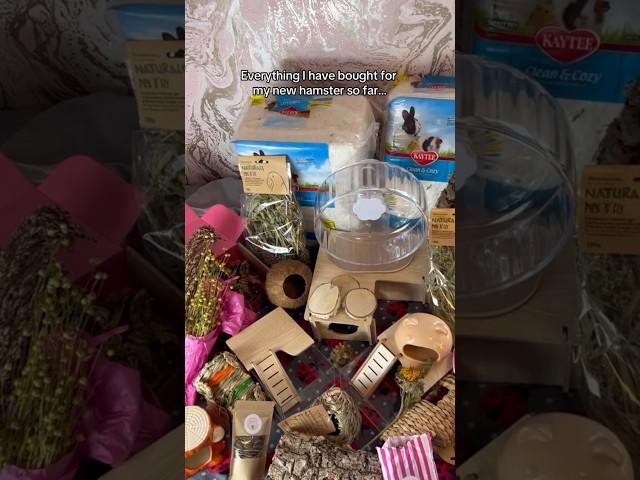 A Huge Hamster Supplies Haul! ️ #shorts #pets #pet