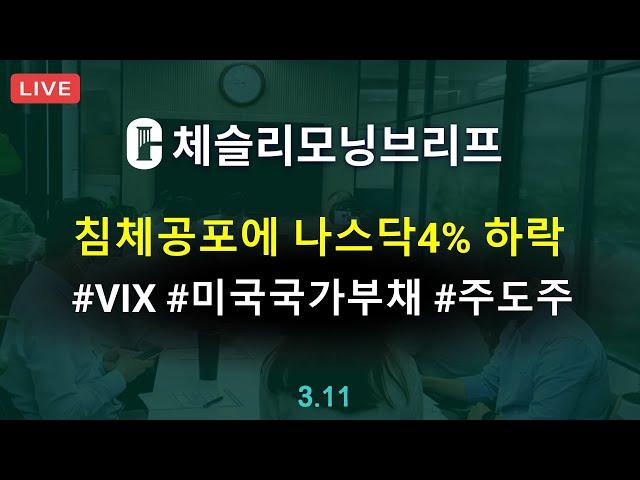 [체슬리모닝브리프] 침체공포 나스닥 4% 하락. 극단적 공포 영역. 미국국가부채. 샤오미 실적. 주도주 모니터링 [25/03/11]