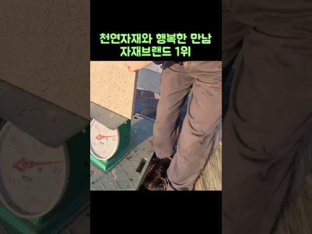 [Ep.20] 토목코리아 조경 정원 공구 자재와 전원 조립식 단독 주택 과 타운하우스에 들어가는 셀프 실내 거실 현관 원룸 베란다 카페 인테리어 사용 방법