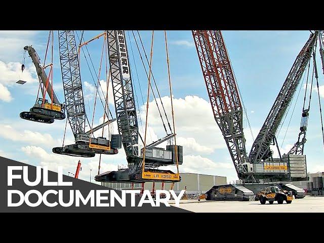 Mega Cranes | Exceptional Engineering | Free Documentary