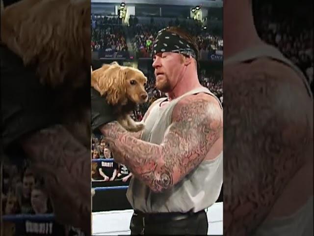 The Undertaker gets a puppy #Short