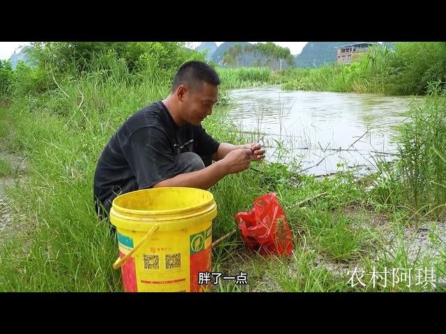 野钓：回流湾堪称鱼窝，阿琪下竿连连上鱼，一条比一条大真过瘾