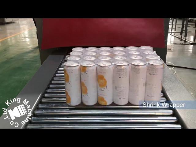 Complete Can Beverage Production Line