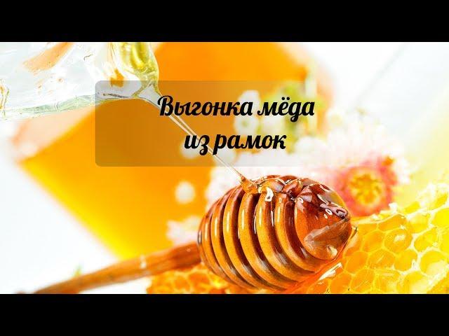 Жизнь в греческой деревне. Выгонка мёда из рамок