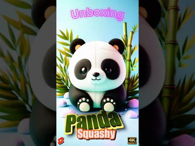 Adventures of the Squashy Panda Bear: Fun and Excitement #squishys #shorts