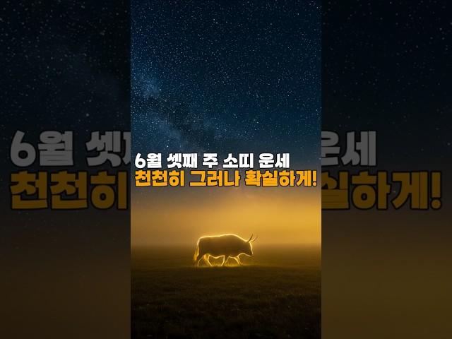 [골목점집 운세]  소띠 주간운세｜성실함이 복을 부릅니다! #골목점집  #운세채널  #띠별운세  #오늘의운세  #월간운세  #주간운세  #타로운세  #사주풀이  #신점운세