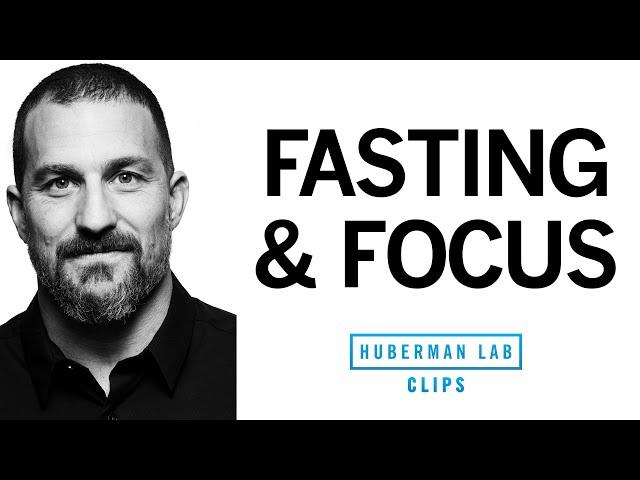 How Fasting Impacts Your Ability to Focus | Dr. Andrew Huberman