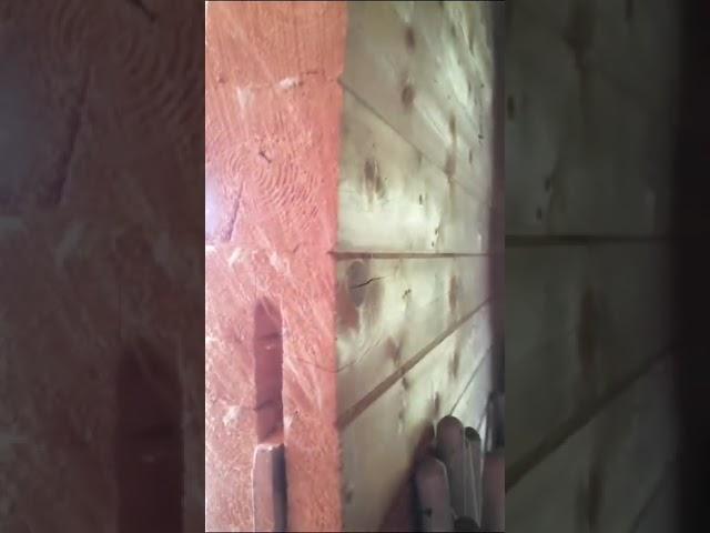 Дом из профилированного бруса главный недостаток. Повело дом винтом. Стены из бруса вывернуло