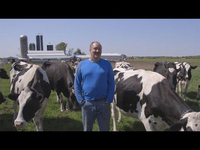 Exceptional Quality: B-Long Holsteins