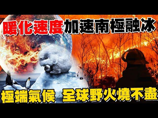 地球暖化速度加速南極融冰 極端氣候 全球野火燒不盡 海冰面積退縮創新低紀錄 衝擊企鵝生存【專題報導】