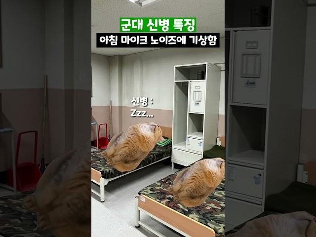 군대 신병 특징 #shorts #군대