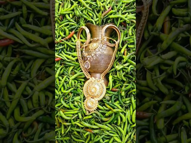 Gold bracelet on pepper #funny #short #video #South Korea #Indonesia #Malaysia #Vietnam