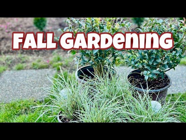 Planting Perennials in The Fall | October Magic Camellia & Carex Everest