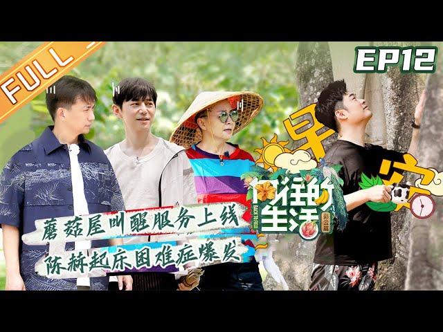 【FULL】"Back to field S4" EP12-1: Song Dandan, Michael Chen He return to mushroom house again!!