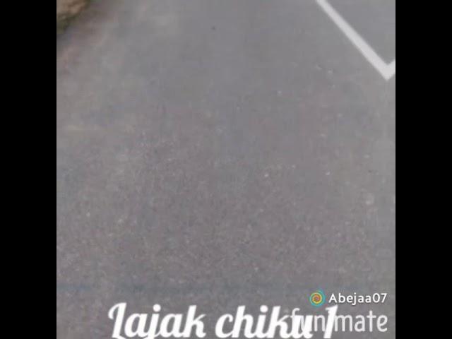 Lajak chiku 1