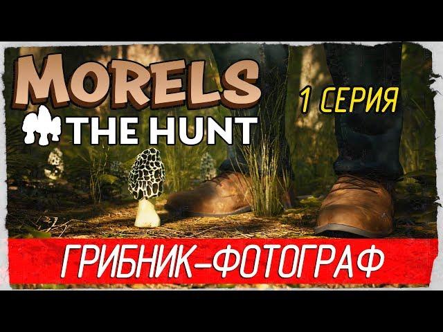 Morels: The Hunt -1- ГРИБНИК-ФОТОГРАФ [Прохождение на русском]