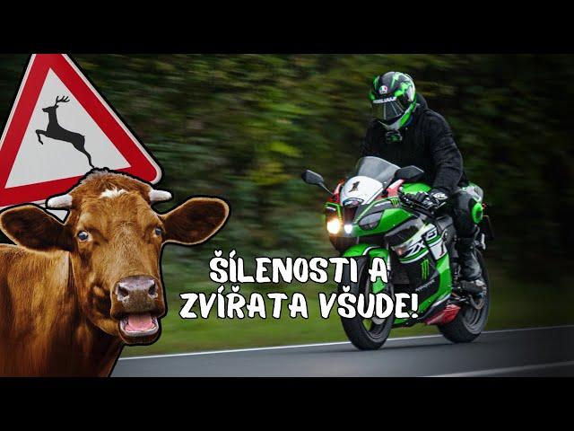 MOJE NEJŠÍLENĚJŠÍ CESTA NA MOTORCE!