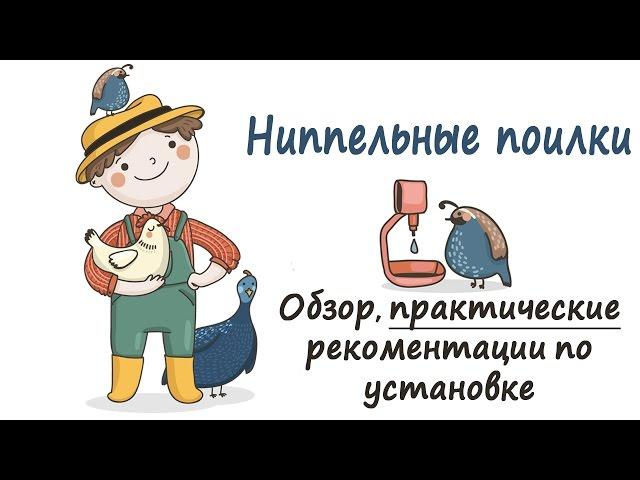 Ниппельные поилки для перепелов, бройлеров, кур - видео обзор. Установка