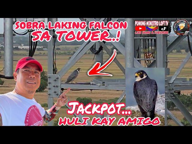 EP935 - SOBRA LAKING FALCON ANG NATAGPUAN KO SA TOWER!