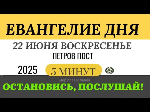 22 июня воскресенье Евангелие дня 2025 с толкованием #евангелие
