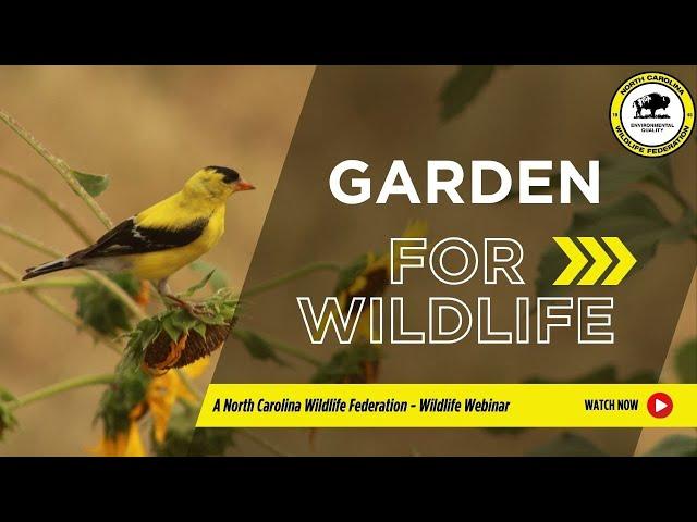 Garden for Wildlife: Creating Backyard Habitats - North Carolina Wildlife Federation