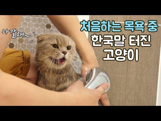 Iz's First Time Bathing and Iz Speaks Korean?!