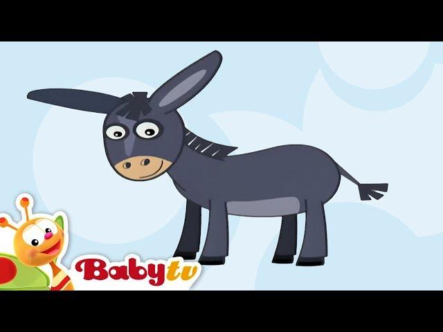 Donkey | Animal Sounds and Names for Kids & Toddlers @BabyTV