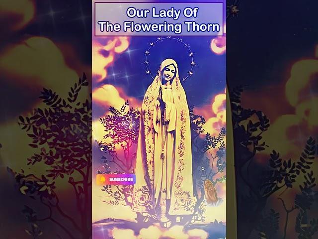 Our Lady of the Flowering Thorn  #OurLady #FloweringThorn #DivineBlessings"