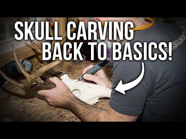 Skull Carving Tutorial: Back To Basics!