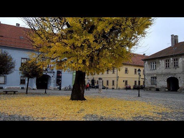 Old Osijek - Старый Осиек