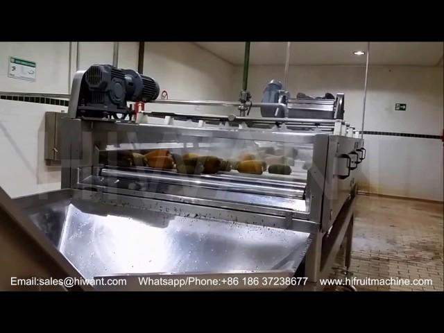 How to prpocess pineapple juice, pineapple juice extraction/pineapple juice processing line