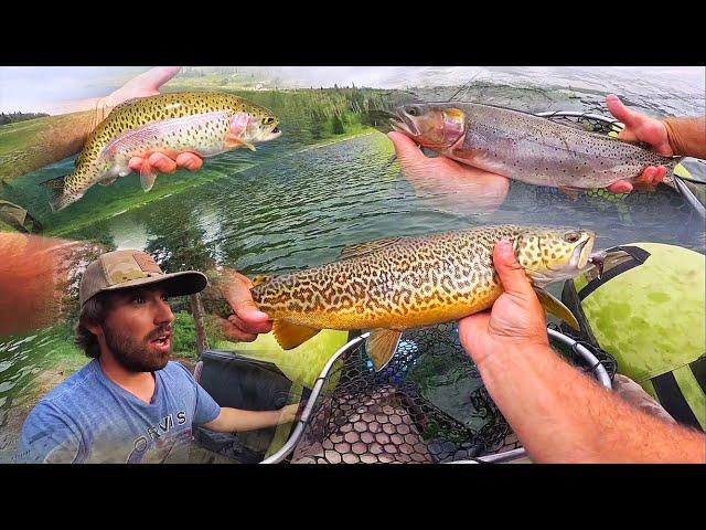 SOLO CAMPING and TROUT FISHING in the MOUNTAINS!! (Catch, Cook, and Camp)