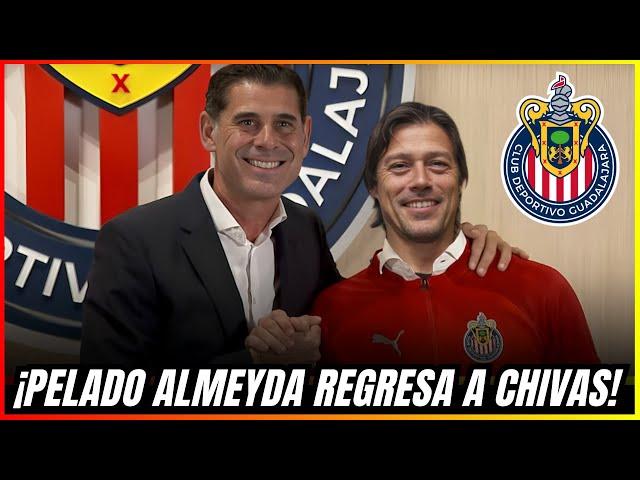 ¿VUELVE el PELADO? Almeyda en la MIRA del Guadalajara|NOTICIAS DEL CHIVAS HOY