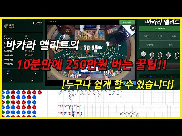 바카라 실전으로 250만원 수익내는법!!