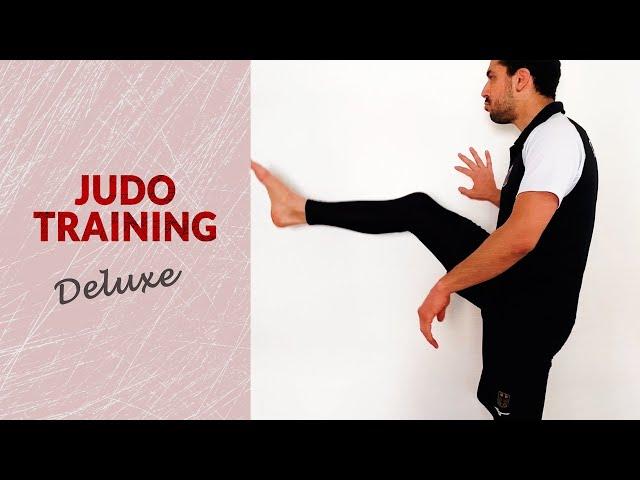 Judotraining Deluxe mit Pedro Guedes | Judotraining Deluxe