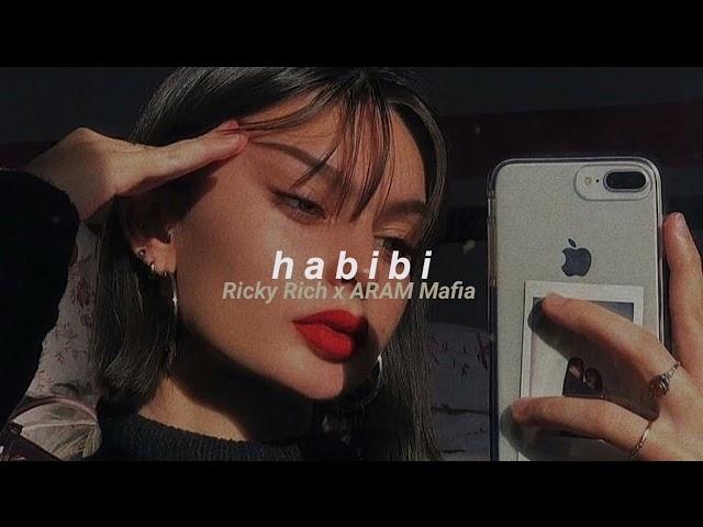 Ricky Rich x ARAM Mafia - Habibi (slowed + reverb)