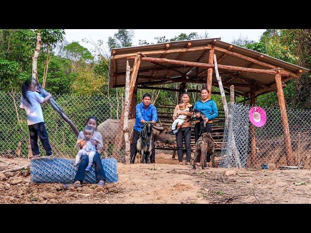 Dig a Road for Pets, Build a Solid Fence, Cook Dinner for a Visiting Sister | Family Farm